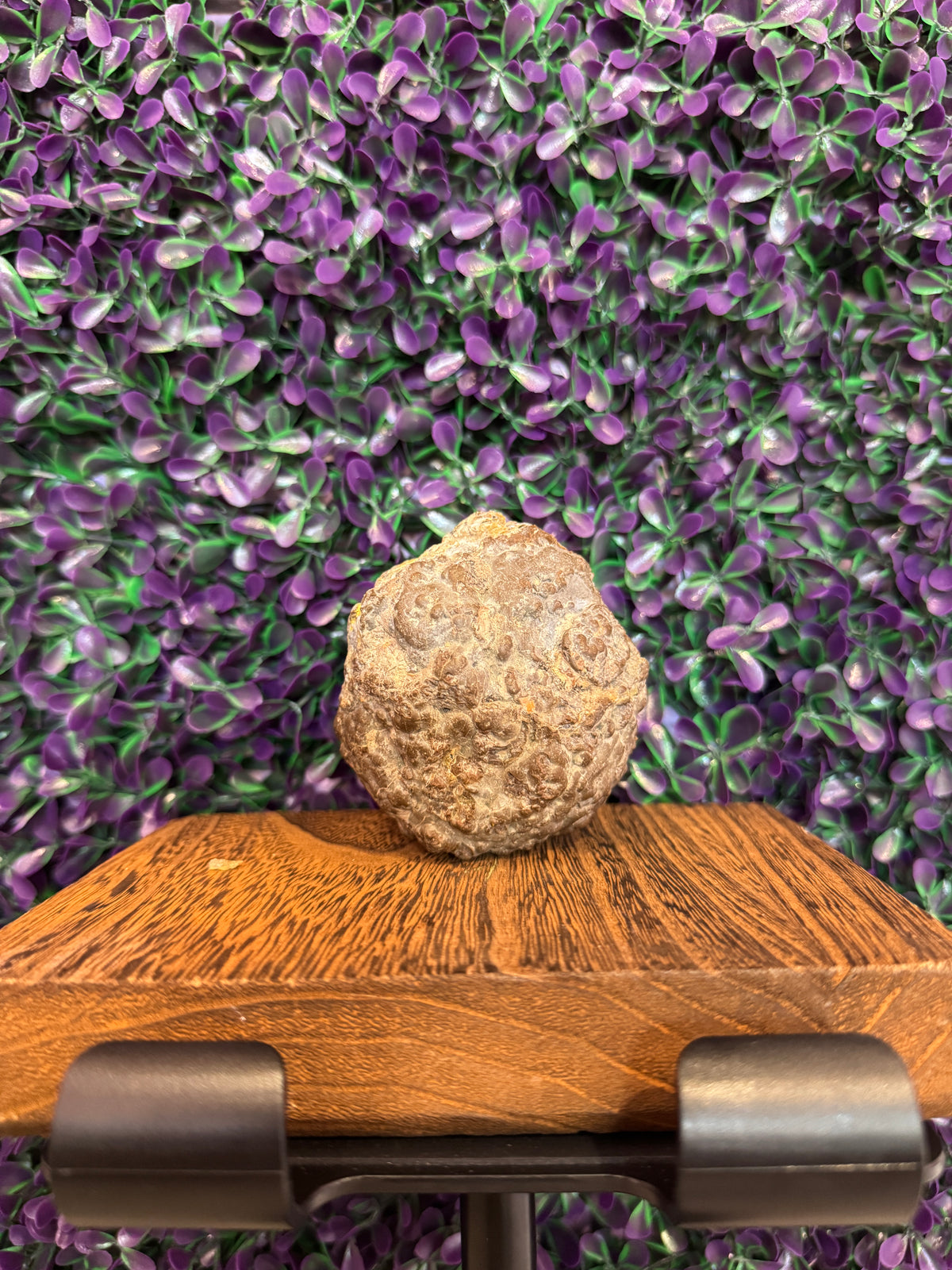 Blue-Gray Banded Geode — product photo 2. A geode with a polished blue-gray banded face and a contrasting rough tan outer rind.
