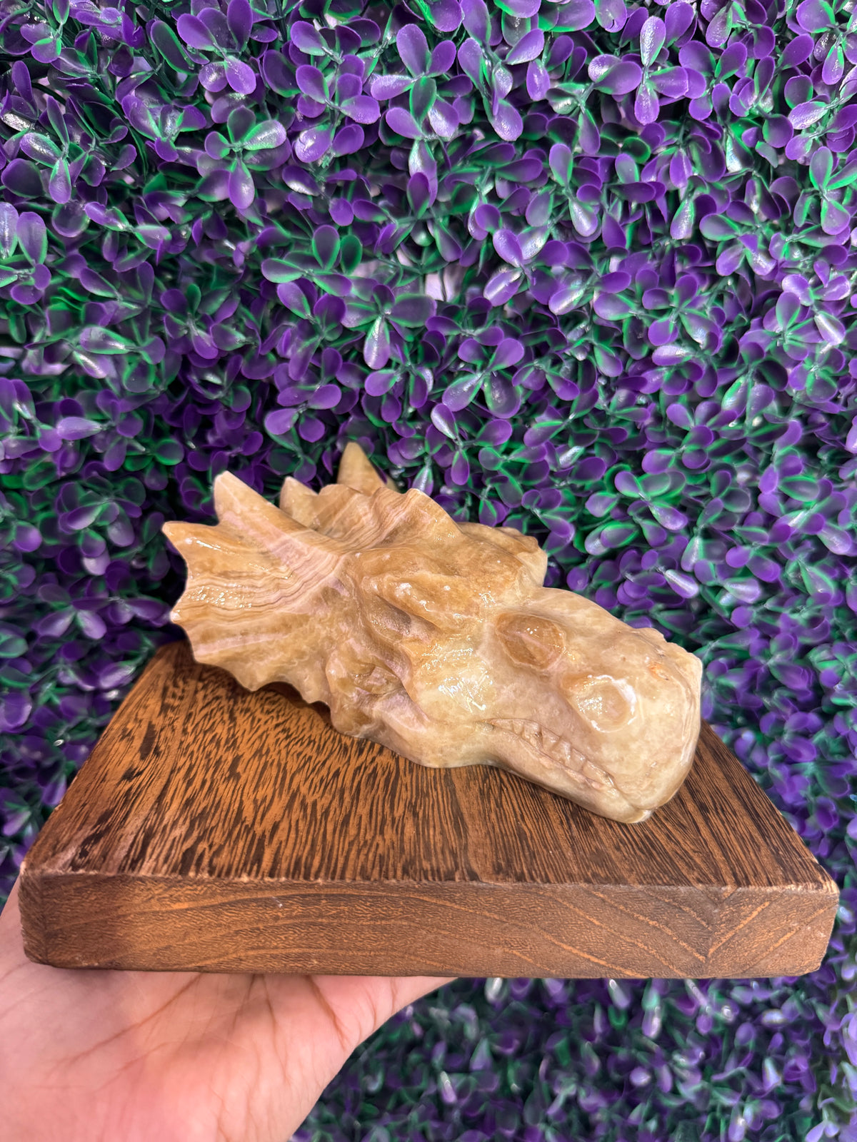 Golden-Tan Dragon Head Carving — product photo 2. A golden-tan dragon head carving with a sculpted crest, horns, and wonderfully dramatic details.