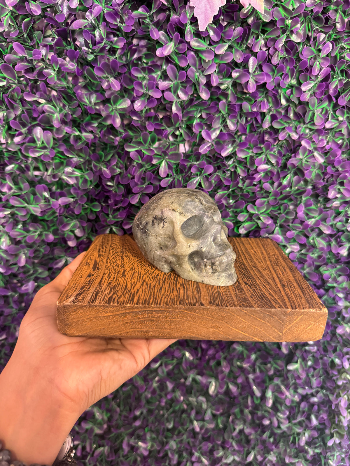 Gray-Green Skull Carving — product photo 1. A rounded skull carving in muted gray-green tones with contrasting mottled markings.