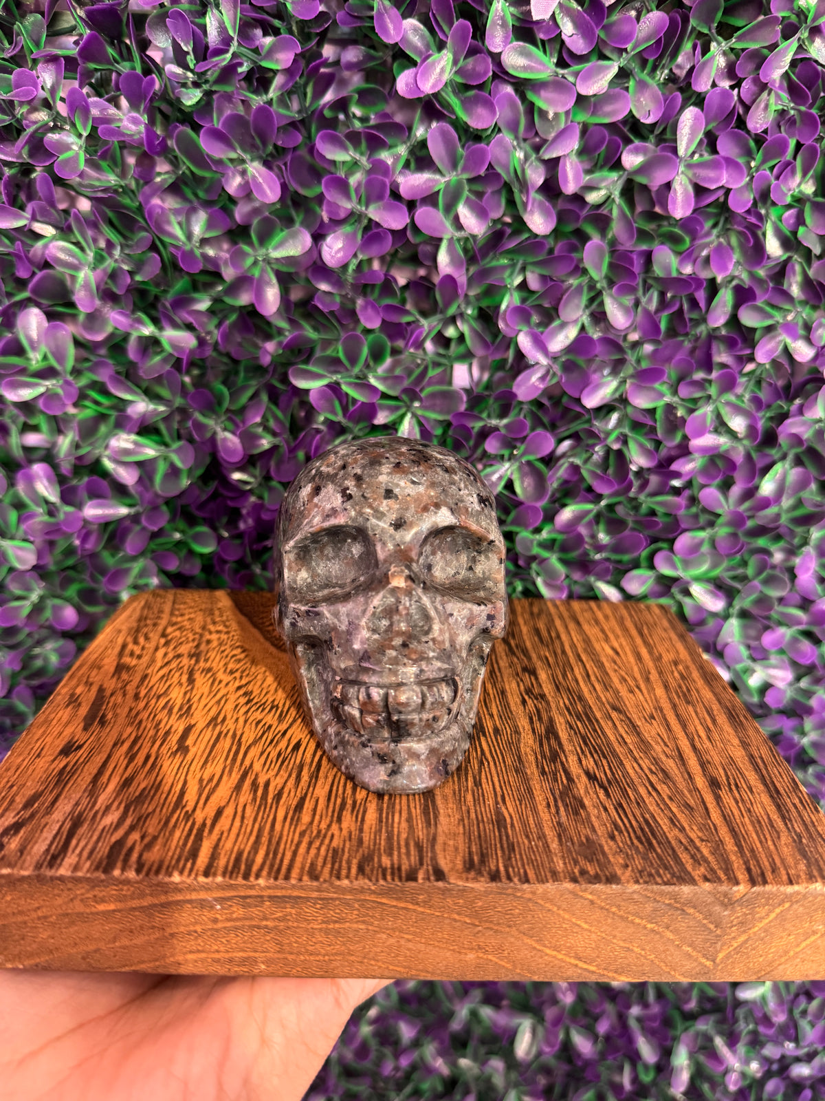 Gray Speckled Skull Carving — product photo 1. A gray speckled skull carving with rounded contours and detailed carved teeth.