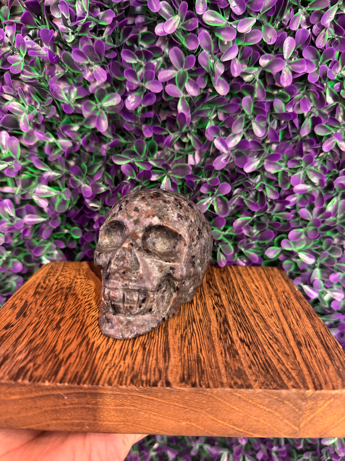 Gray Speckled Skull Carving — product photo 2. A gray speckled skull carving with rounded contours and detailed carved teeth.