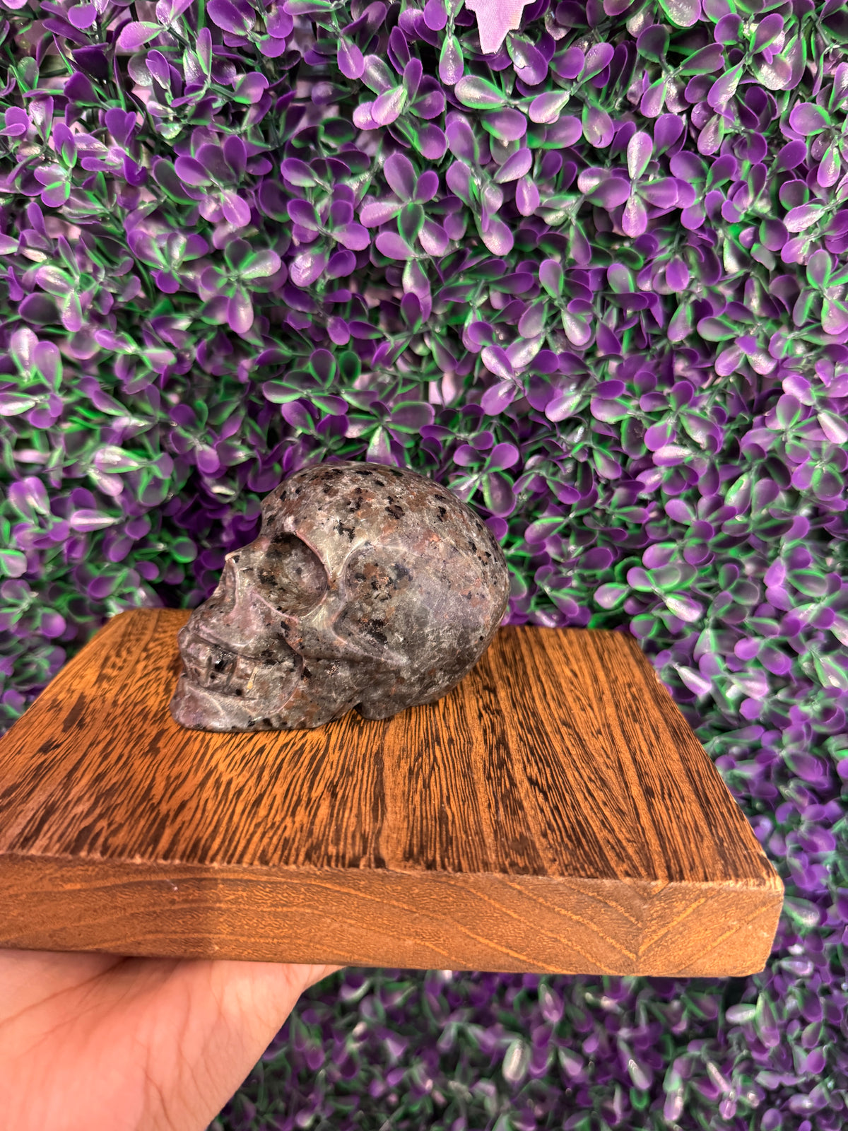 Gray Speckled Skull Carving — product photo 3. A gray speckled skull carving with rounded contours and detailed carved teeth.